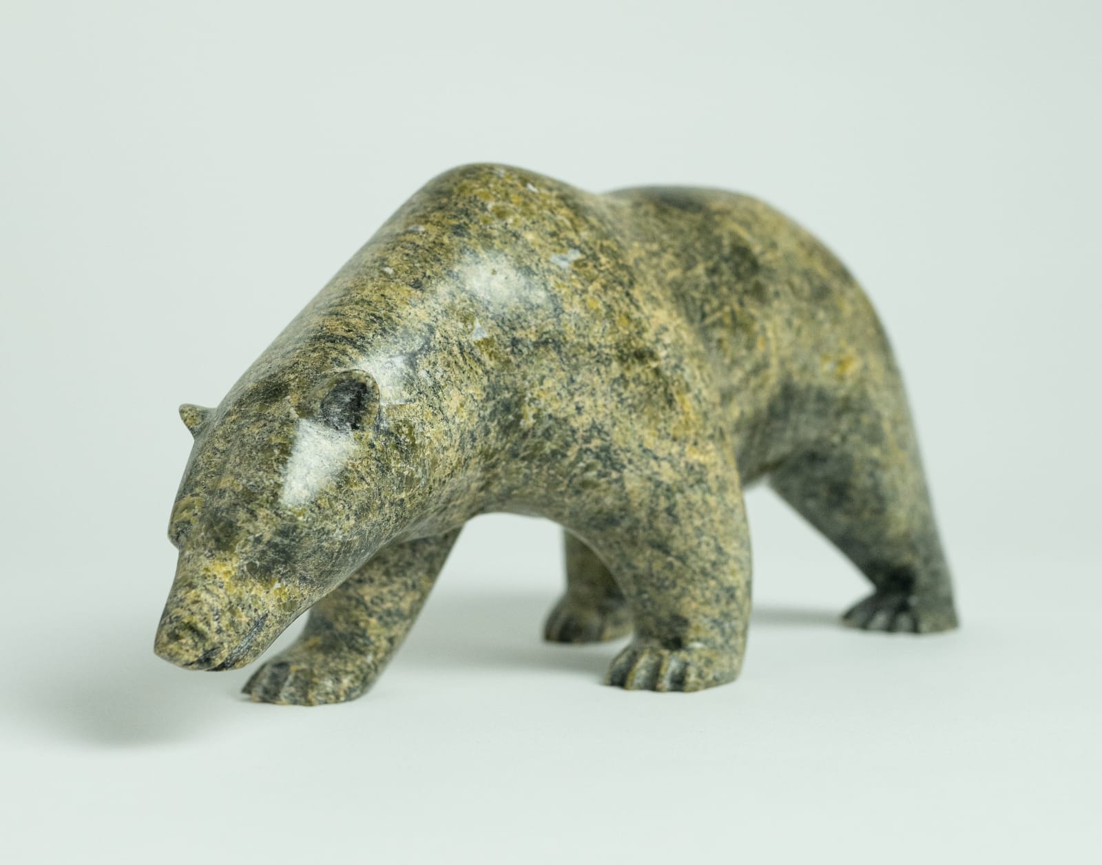 Noah Jaw, Bear, 2013