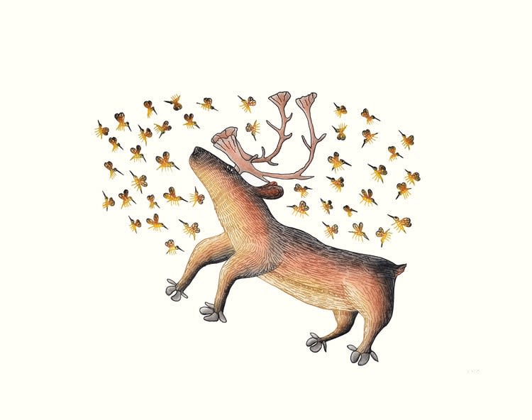 CEE POOTOOGOOK, Summer Buzz, 2017