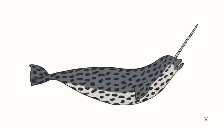PAUOJOUNGIE SAGGIAK, Happy Narwhal, 2019