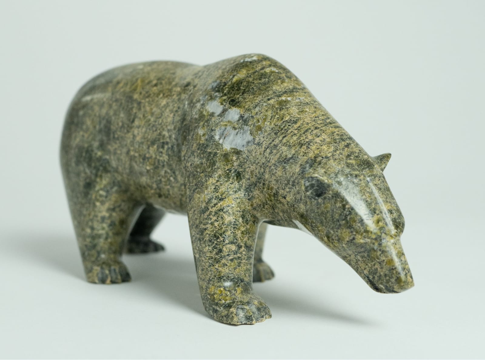 Noah Jaw, Bear, 2013