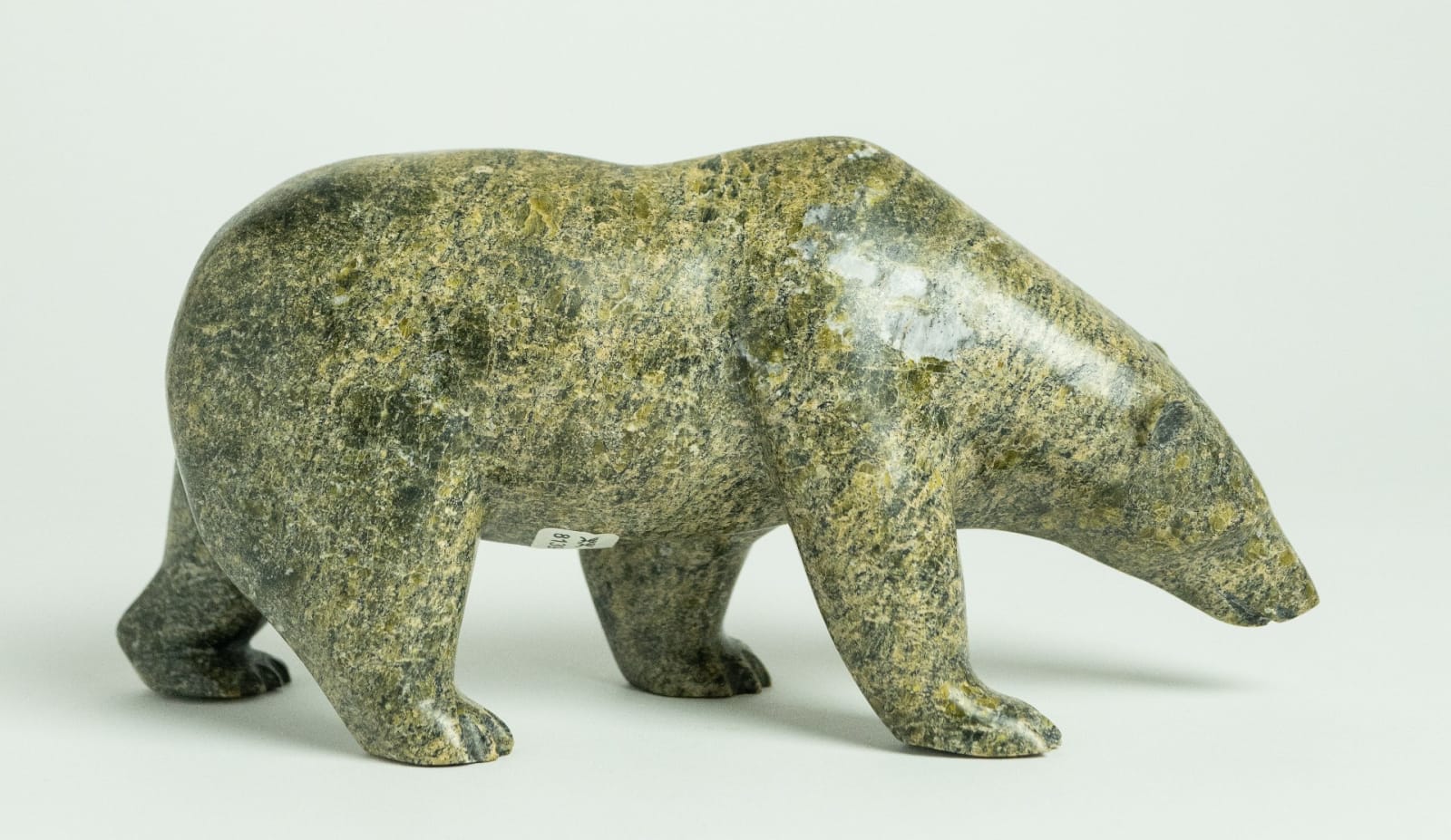 Noah Jaw, Bear, 2013