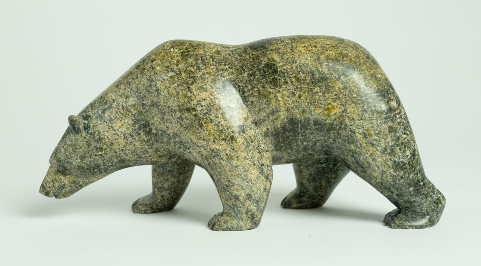 Noah Jaw, Bear, 2013