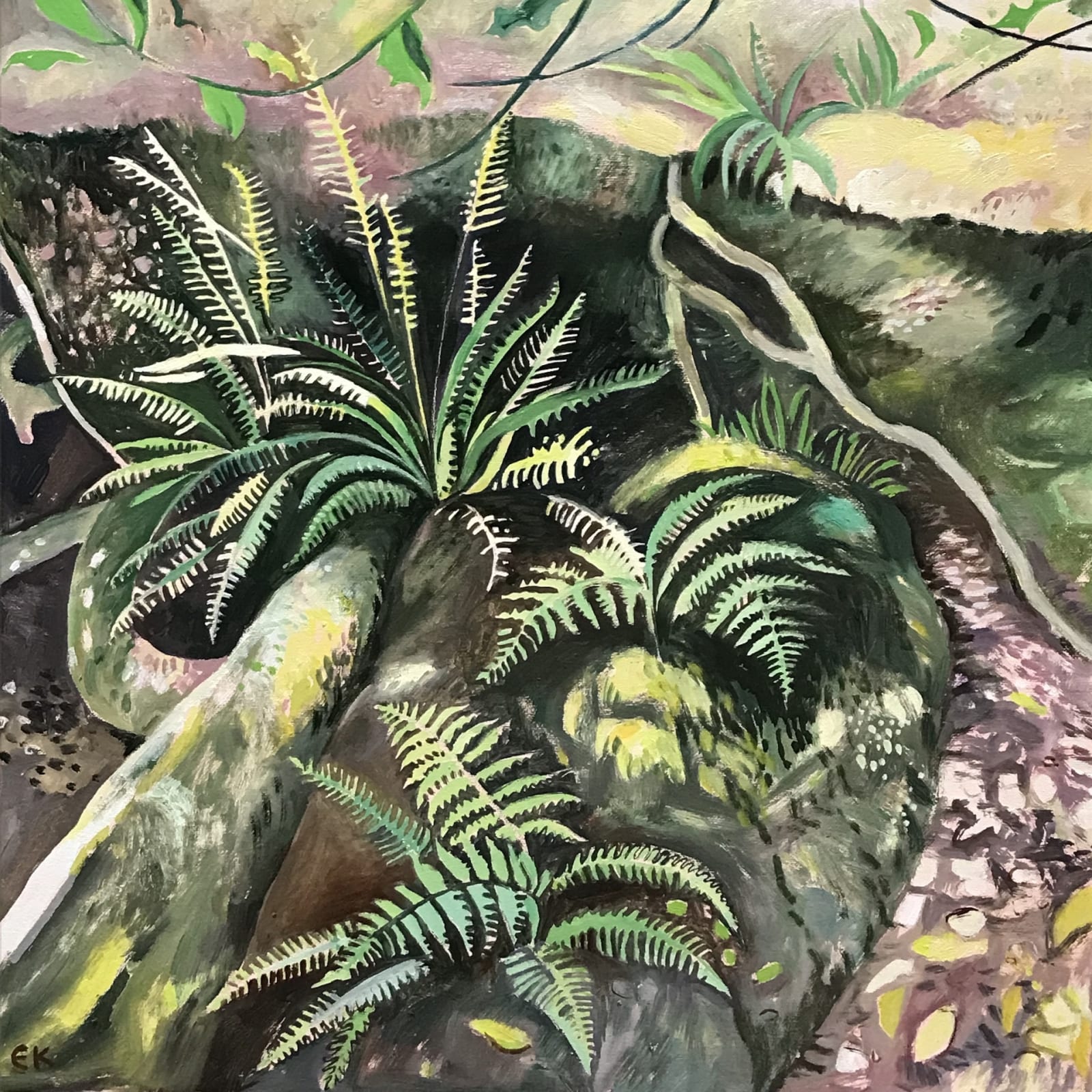 Elaine Kazimierczuk, Ferns and Mossy Rocks at Shaugh Bridge, 2022