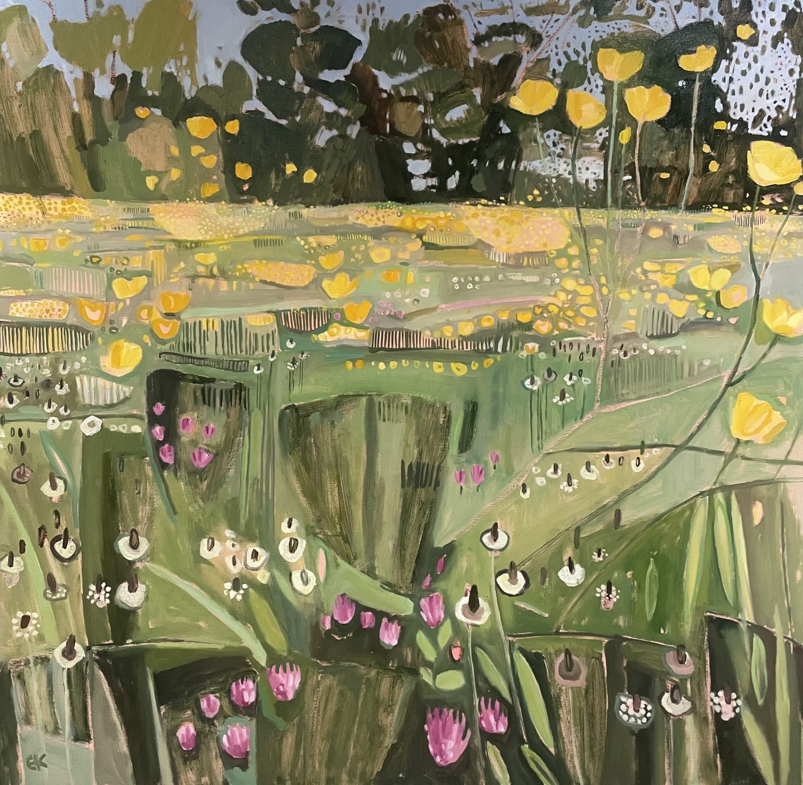 Buttercups and Plantain, Music Meadow - Merton College