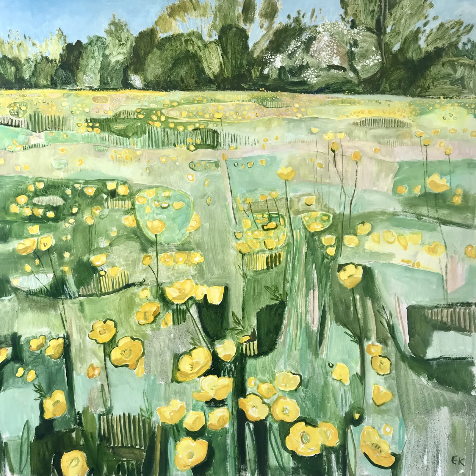 Just Buttercups