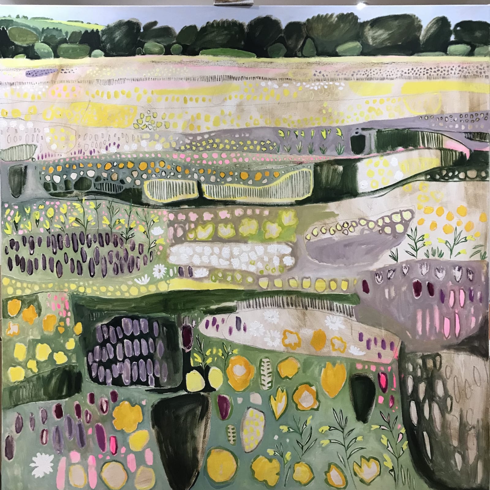 Meadow Dreaming