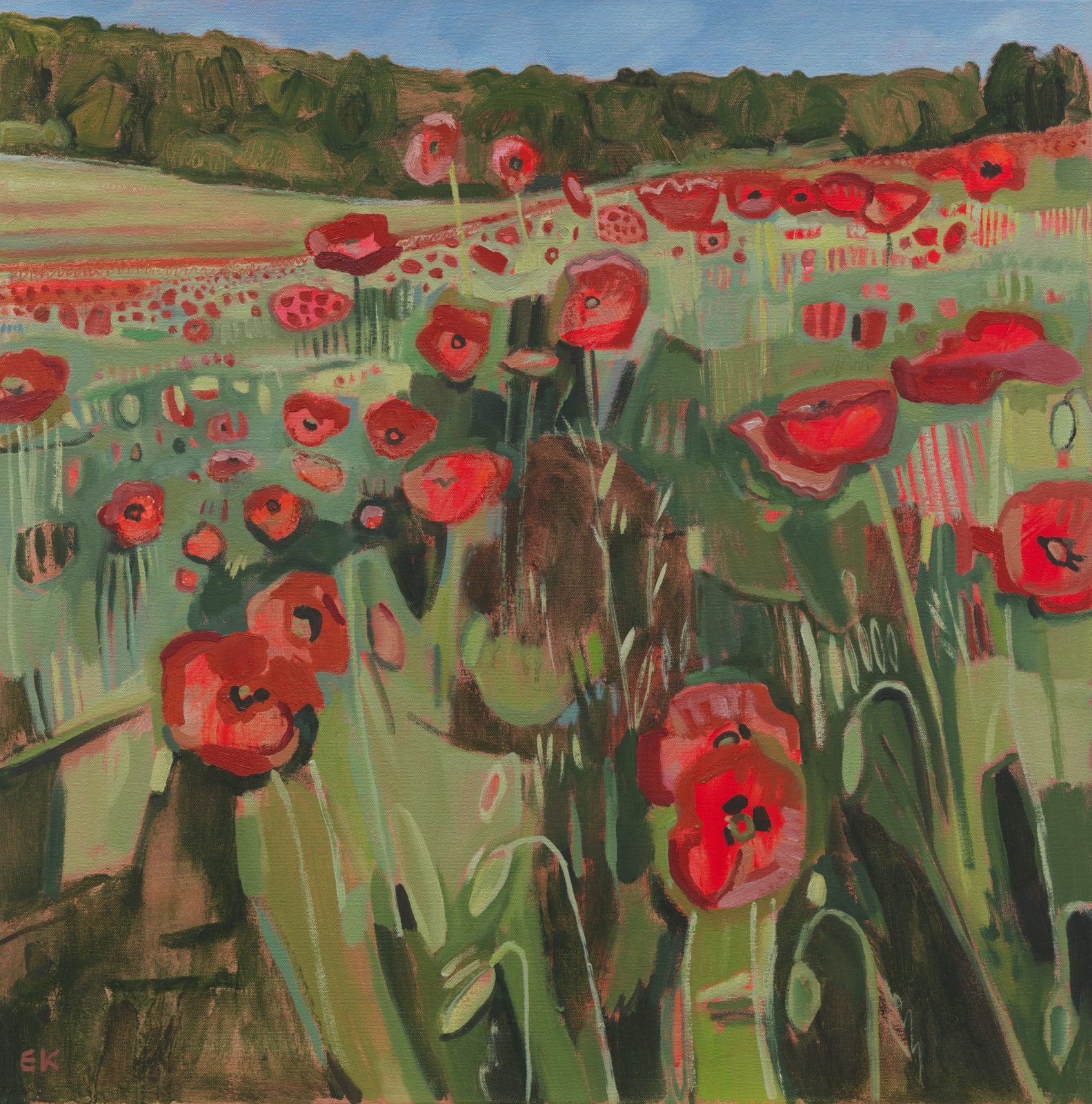 Ranscombe Farm Poppies