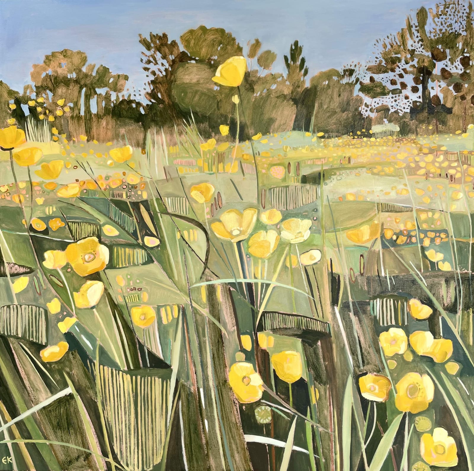 Buttercups and Plantain, Music Meadow - Merton College