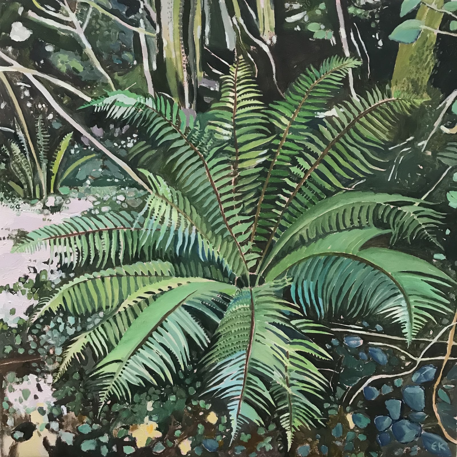 Elaine Kazimierczuk, Fern at Glengarriff, 2022