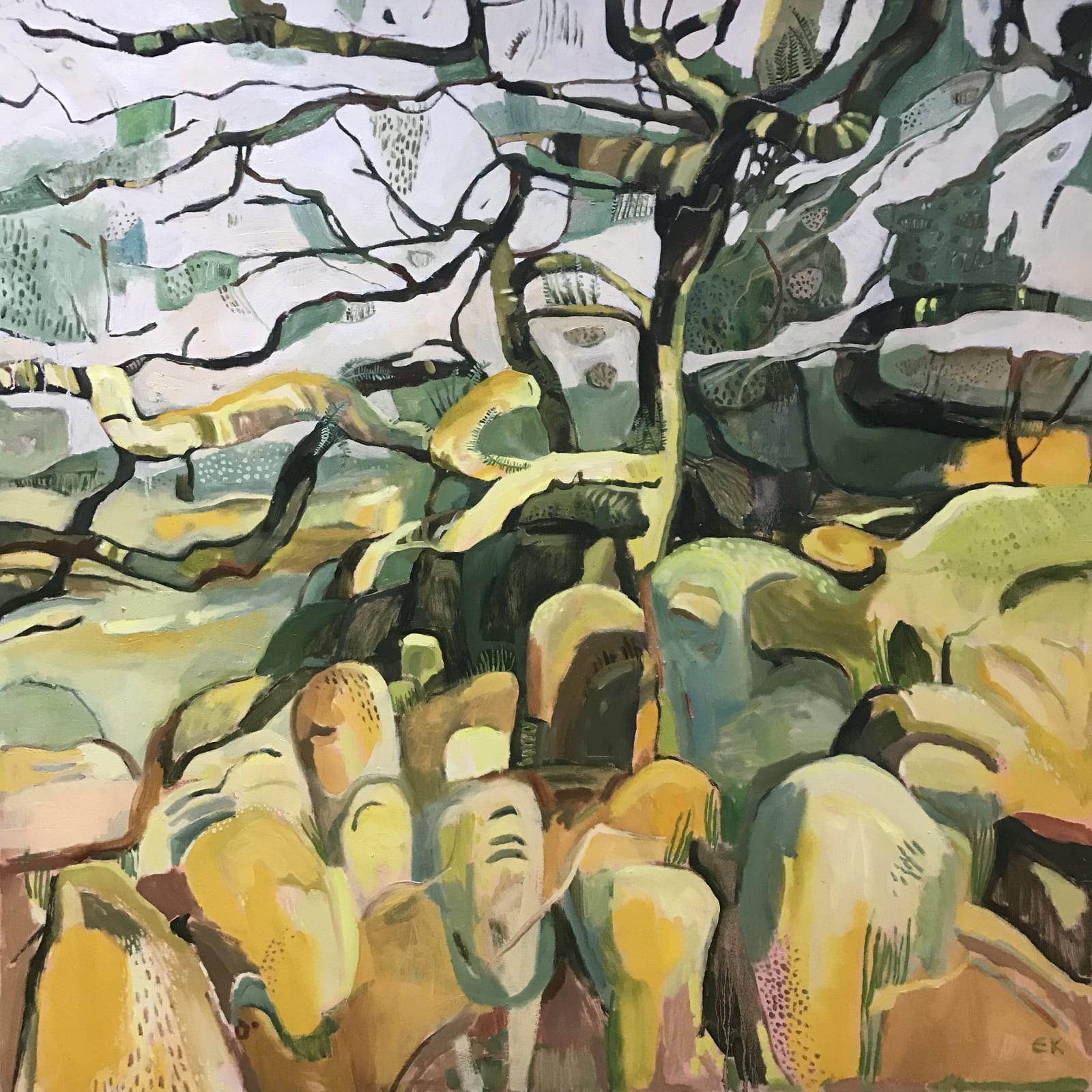 Wistman’s Wood
