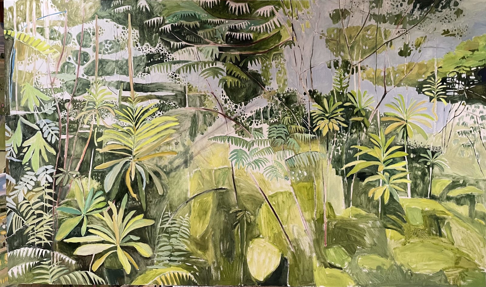 Elaine Kazimierczuk, Nyungwe Forest, 2025