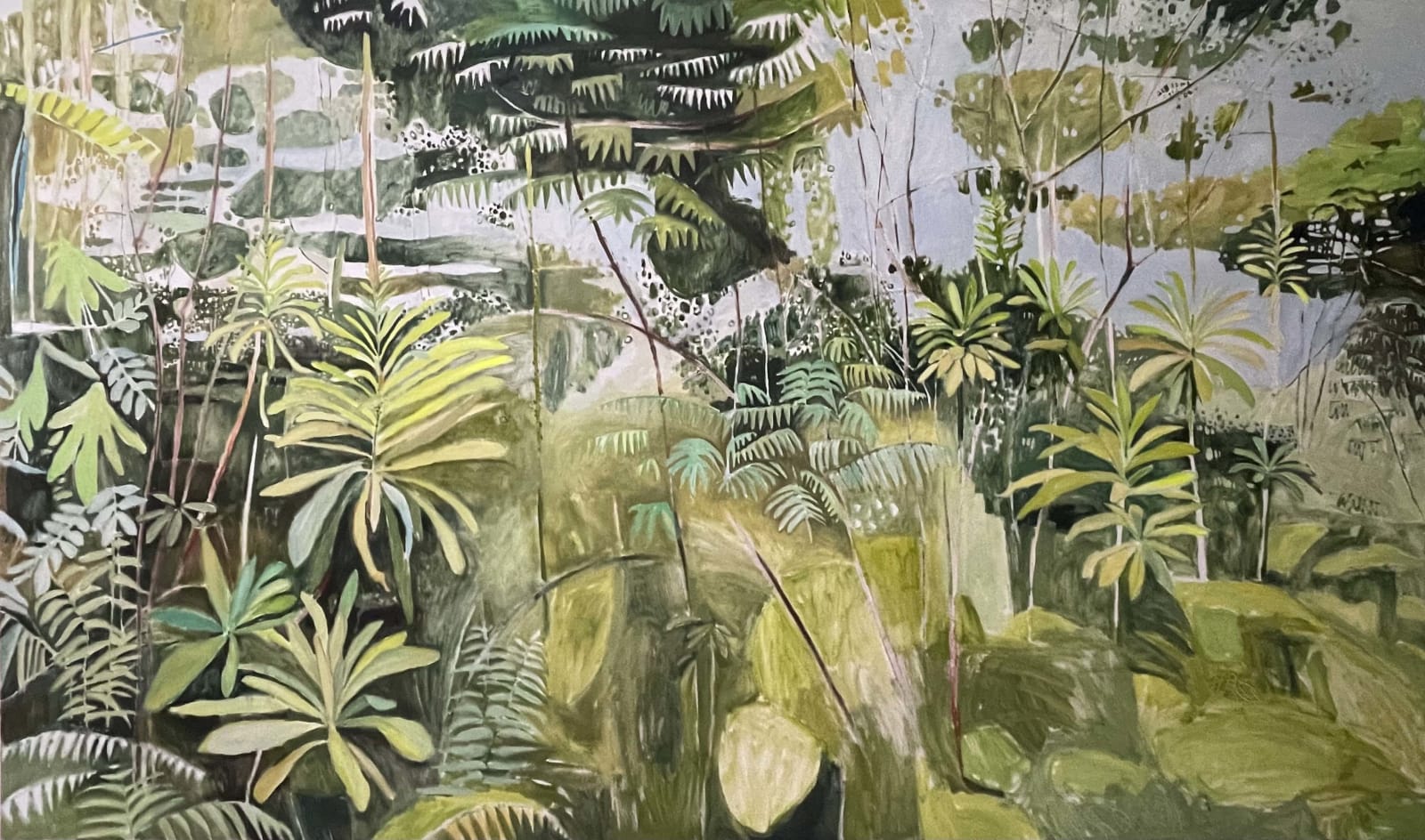 Elaine Kazimierczuk, Nyungwe Forest, 2025