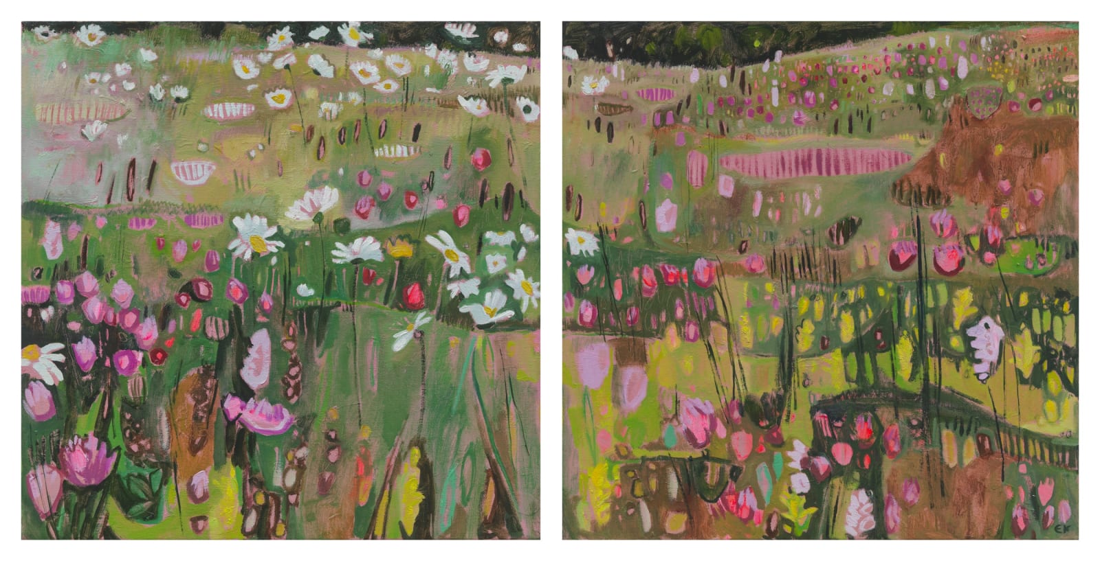 Little Meadow in NI