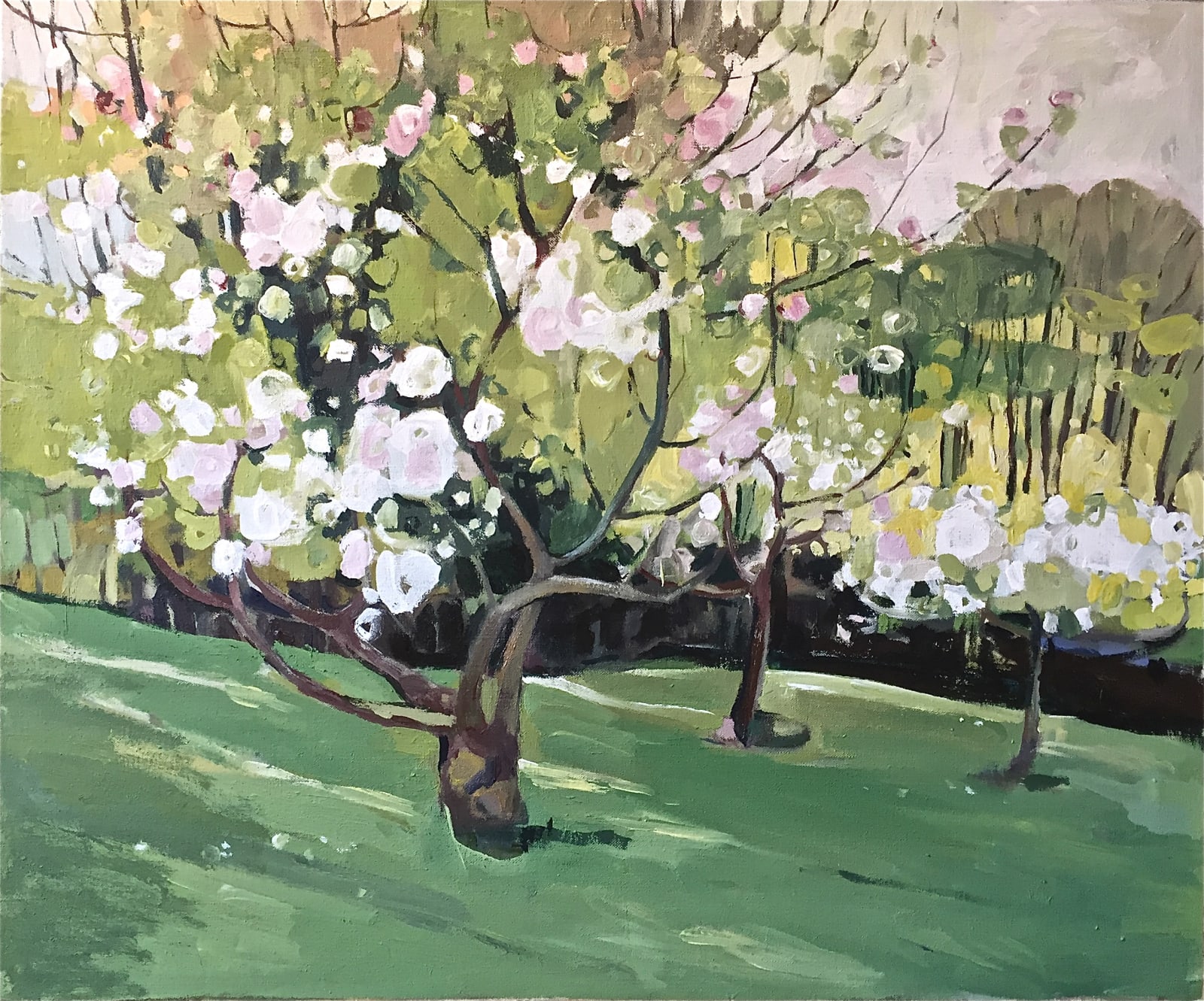 Apple Trees in Blossom by the Dell
