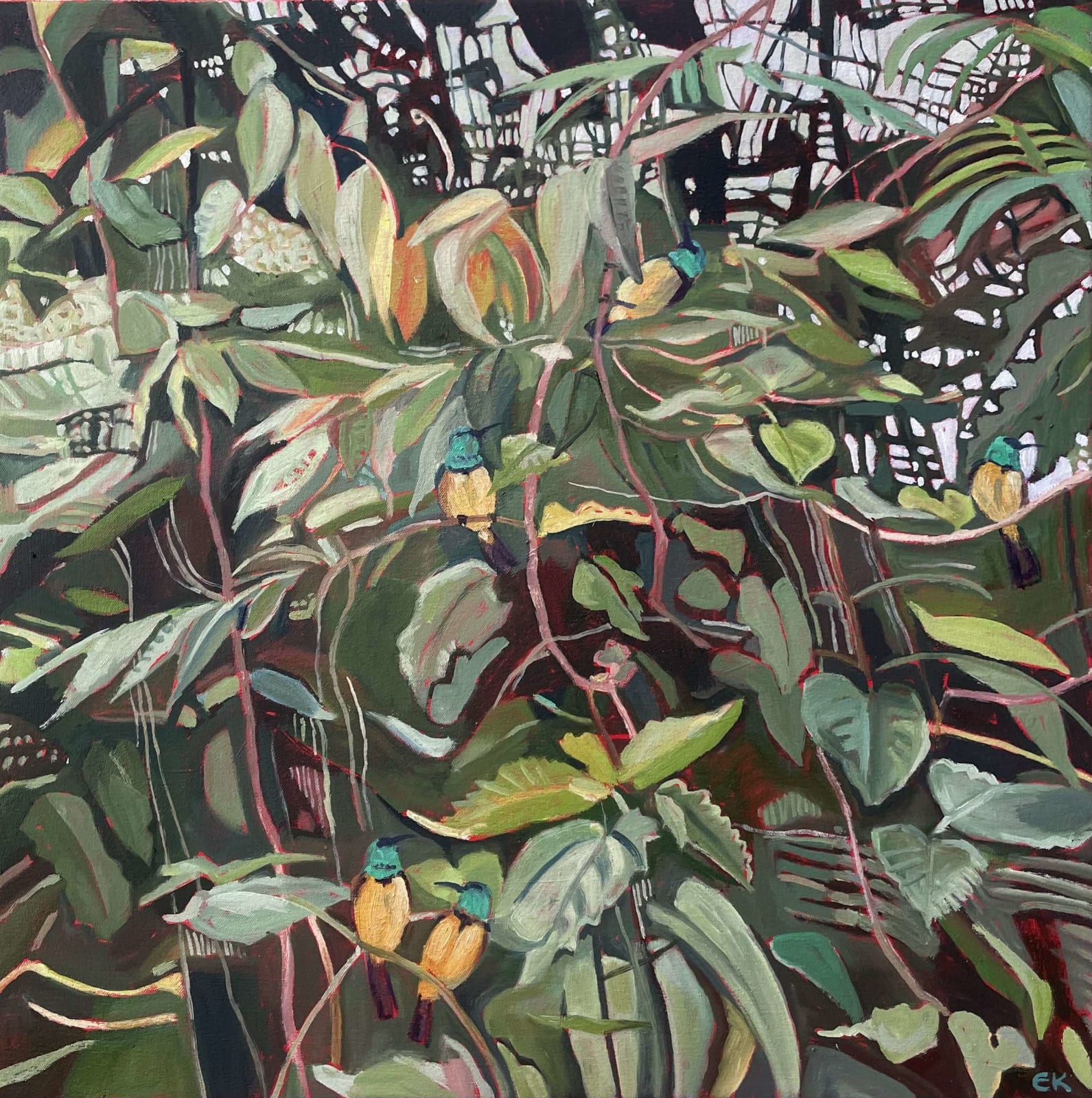 Elaine Kazimierczuk, Regal Sunbirds, 2025