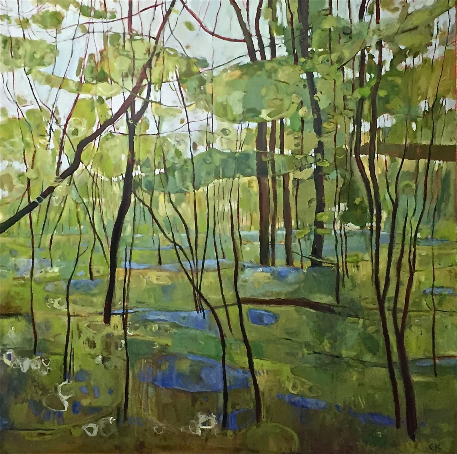 Bluebells in Ploughman Wood