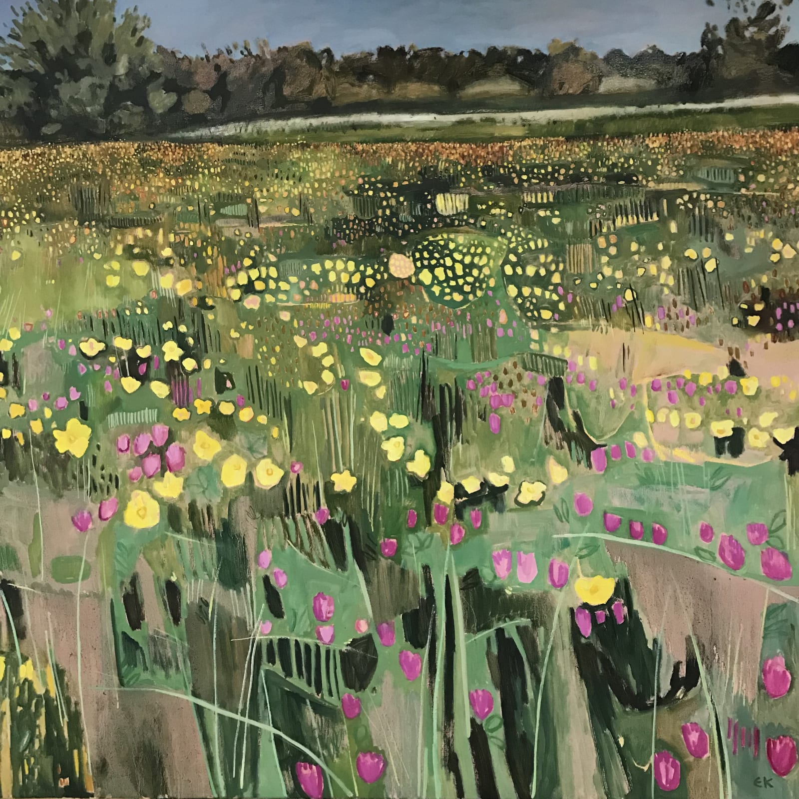 Hinksey Meadows