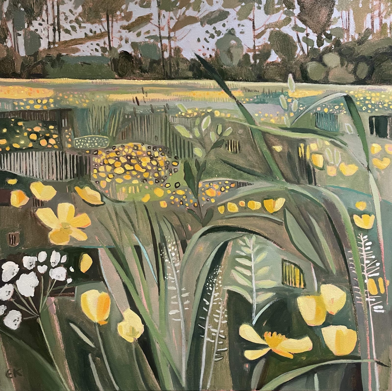 Buttercups and Plantain, Music Meadow - Merton College