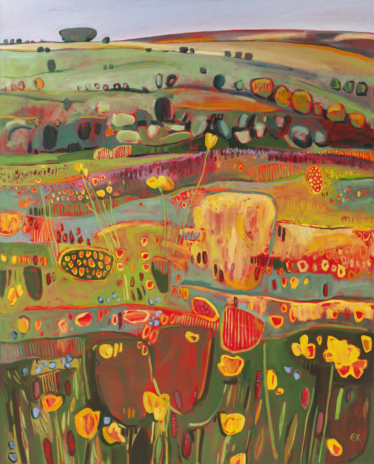 Buttercups and Speedwells