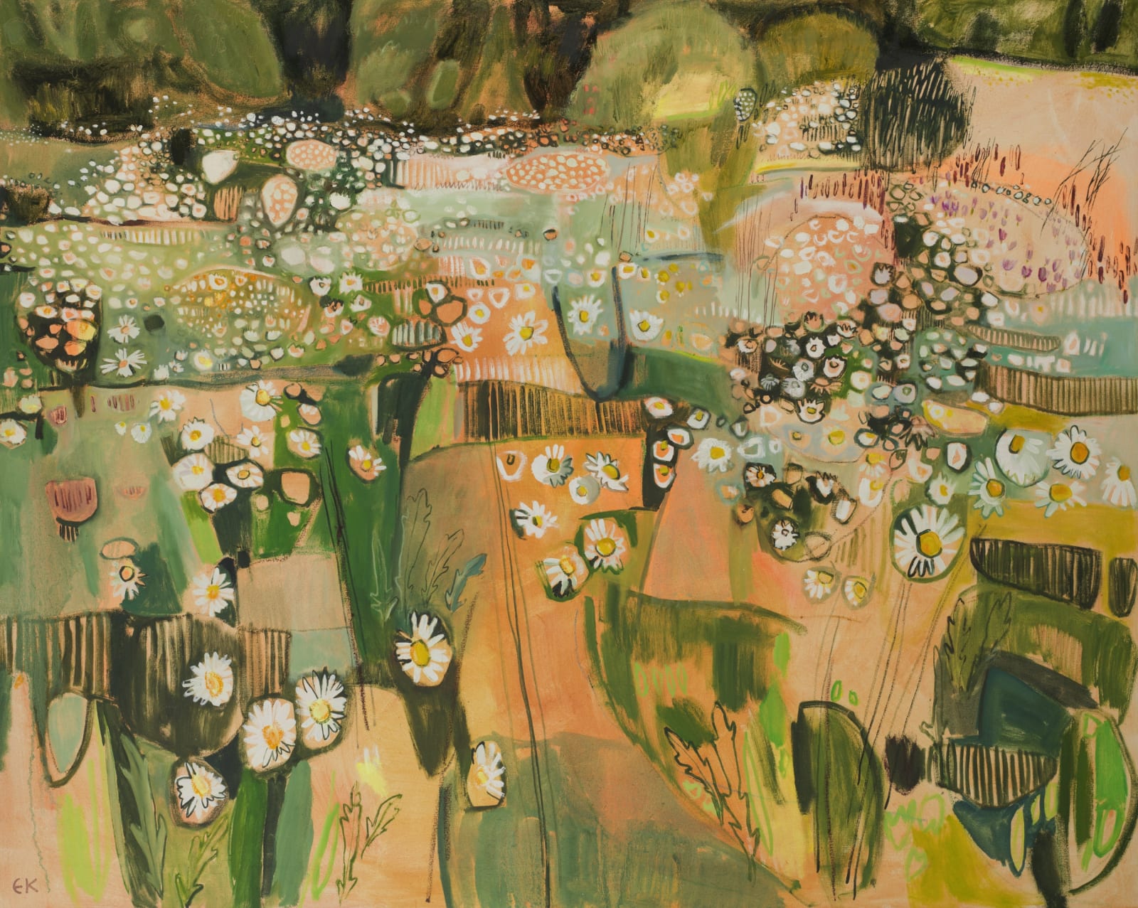 Ox-Eye Daisies