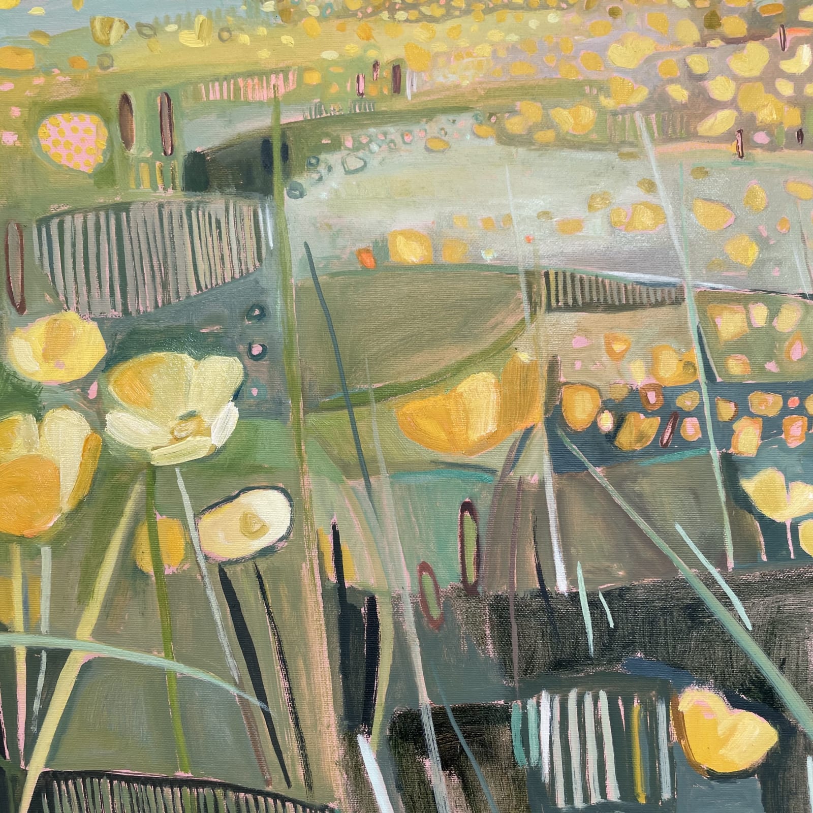 Elaine Kazimierczuk, Buttercup Profusion, Music Meadow, Merton College, Oxford, 2025