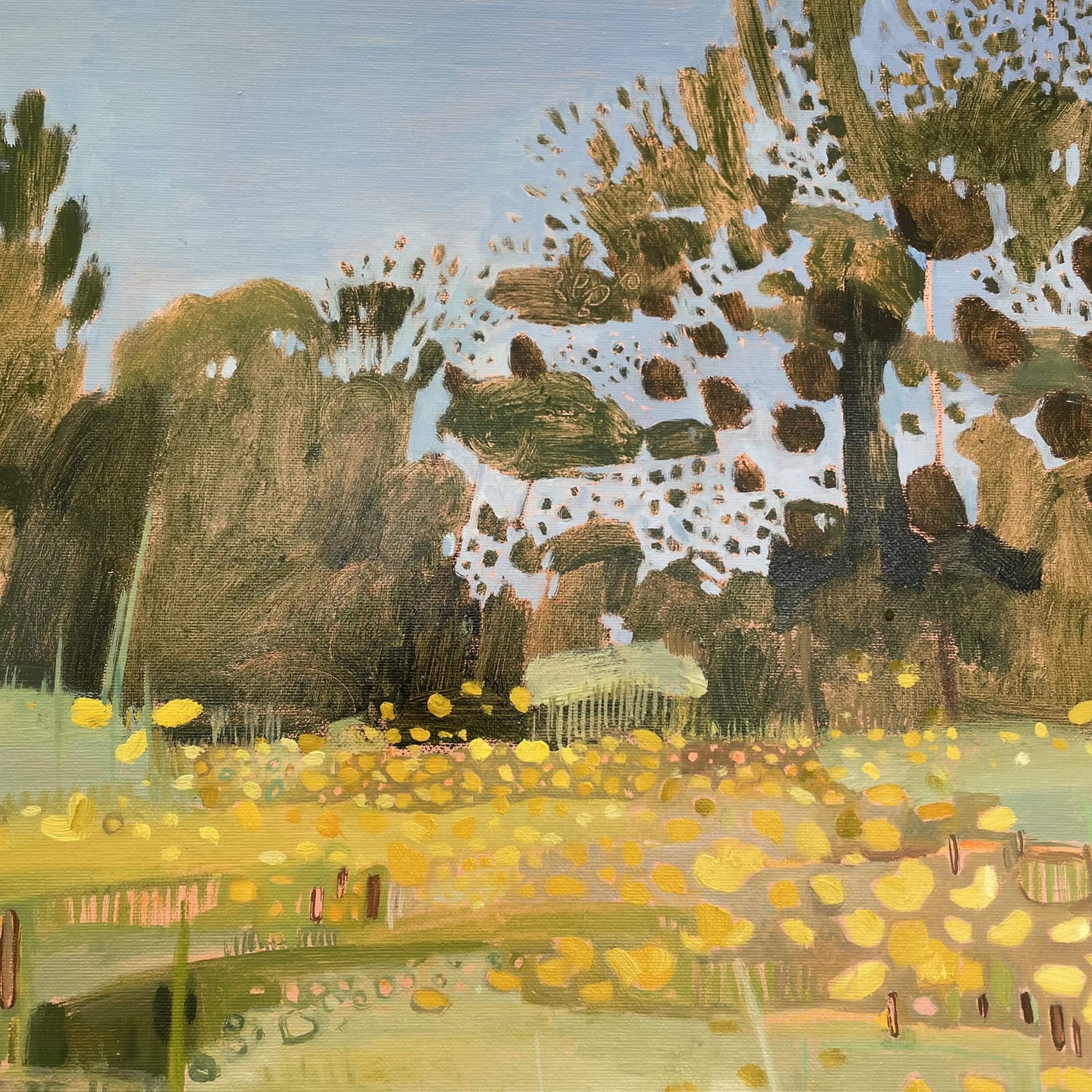 Elaine Kazimierczuk, Buttercup Profusion, Music Meadow, Merton College, Oxford, 2025
