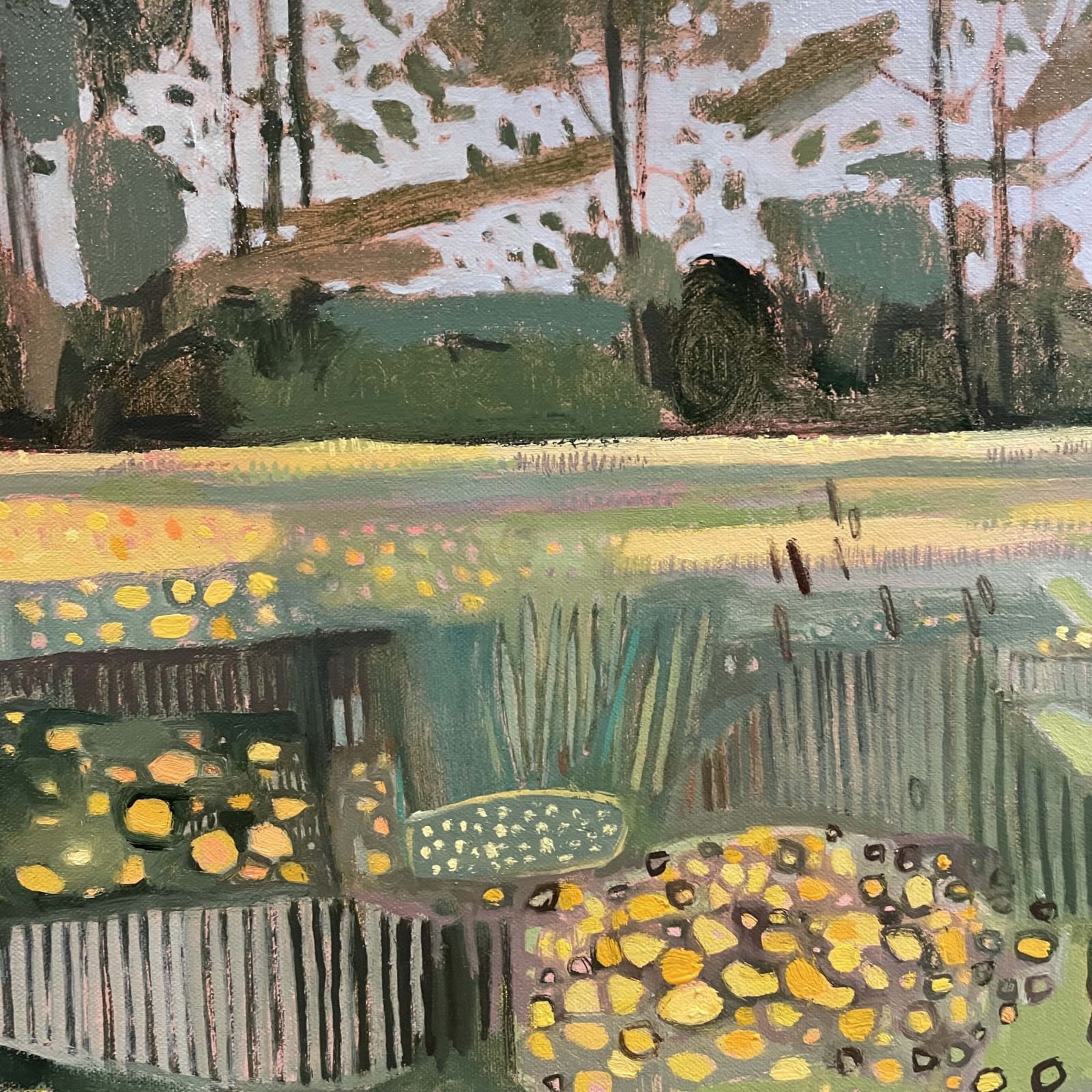 Elaine Kazimierczuk, Butercups and Hedge Parsley, Music Meadow, Merton College, Oxford, 2025