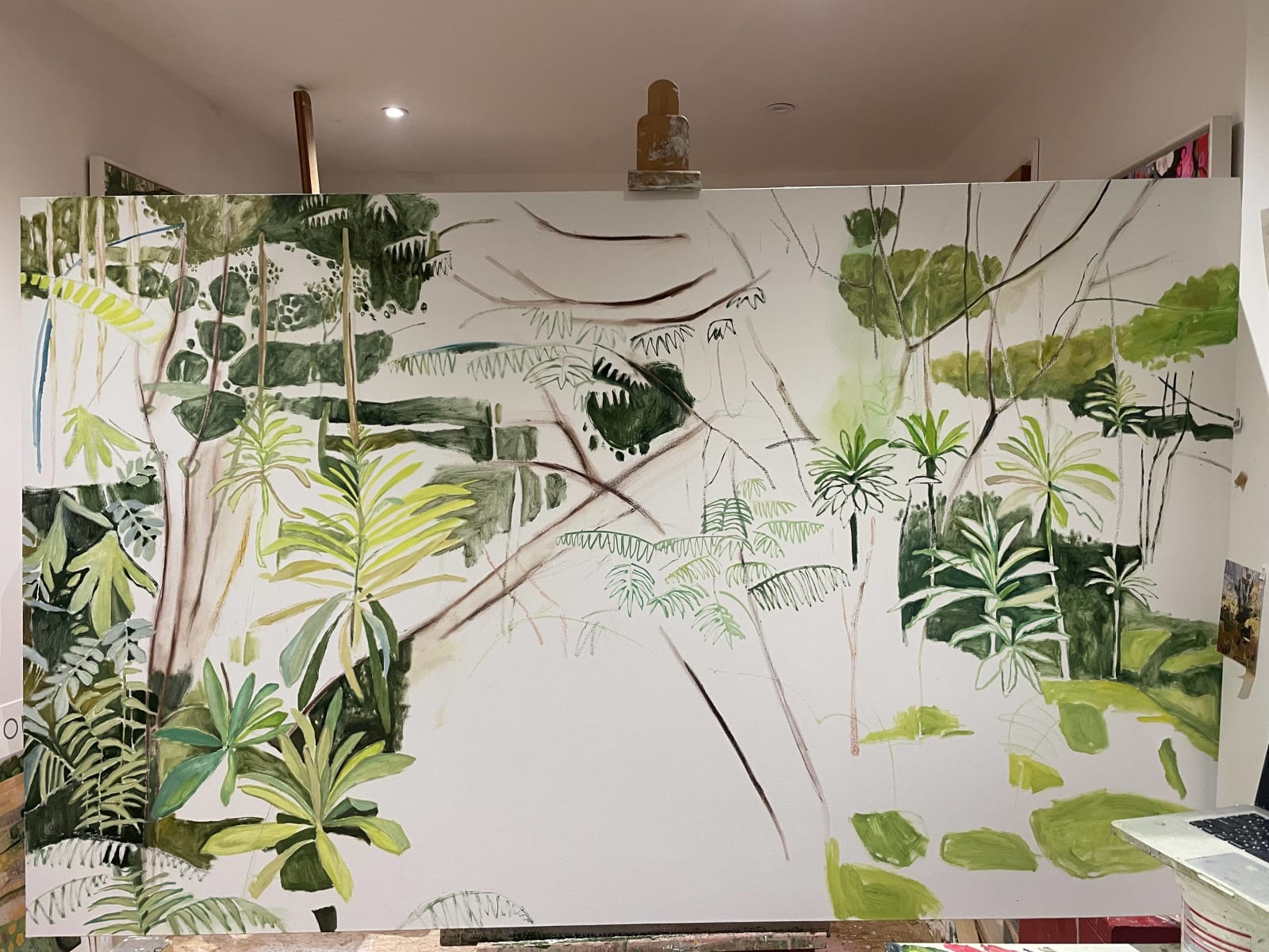 Elaine Kazimierczuk, Nyungwe Forest, 2025