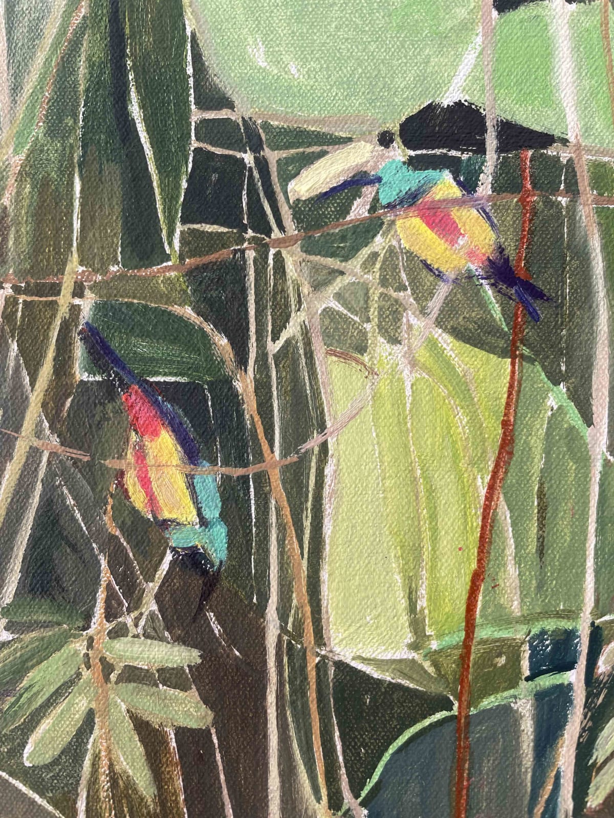 Elaine Kazimierczuk, Collared Sunbirds, 2025