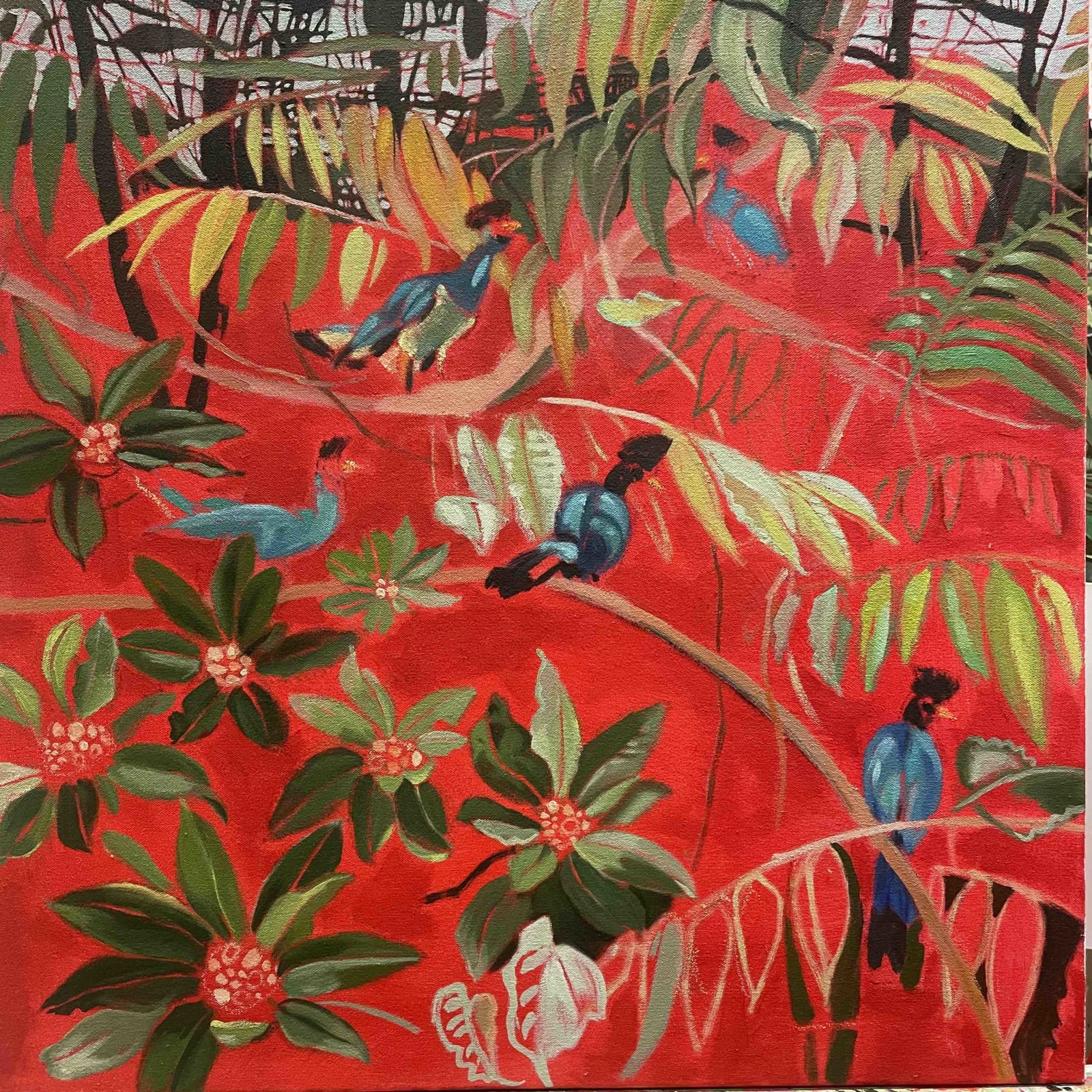 Elaine Kazimierczuk , Great Blue Turaco, 2025