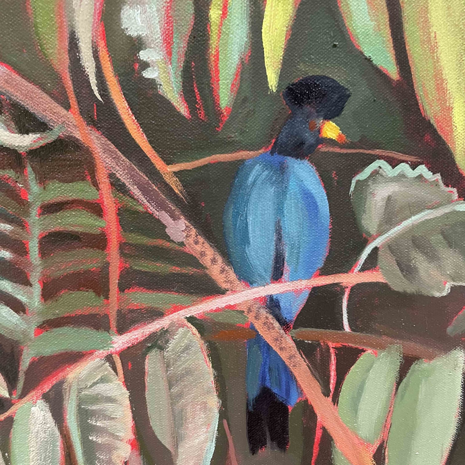 Elaine Kazimierczuk , Great Blue Turaco, 2025