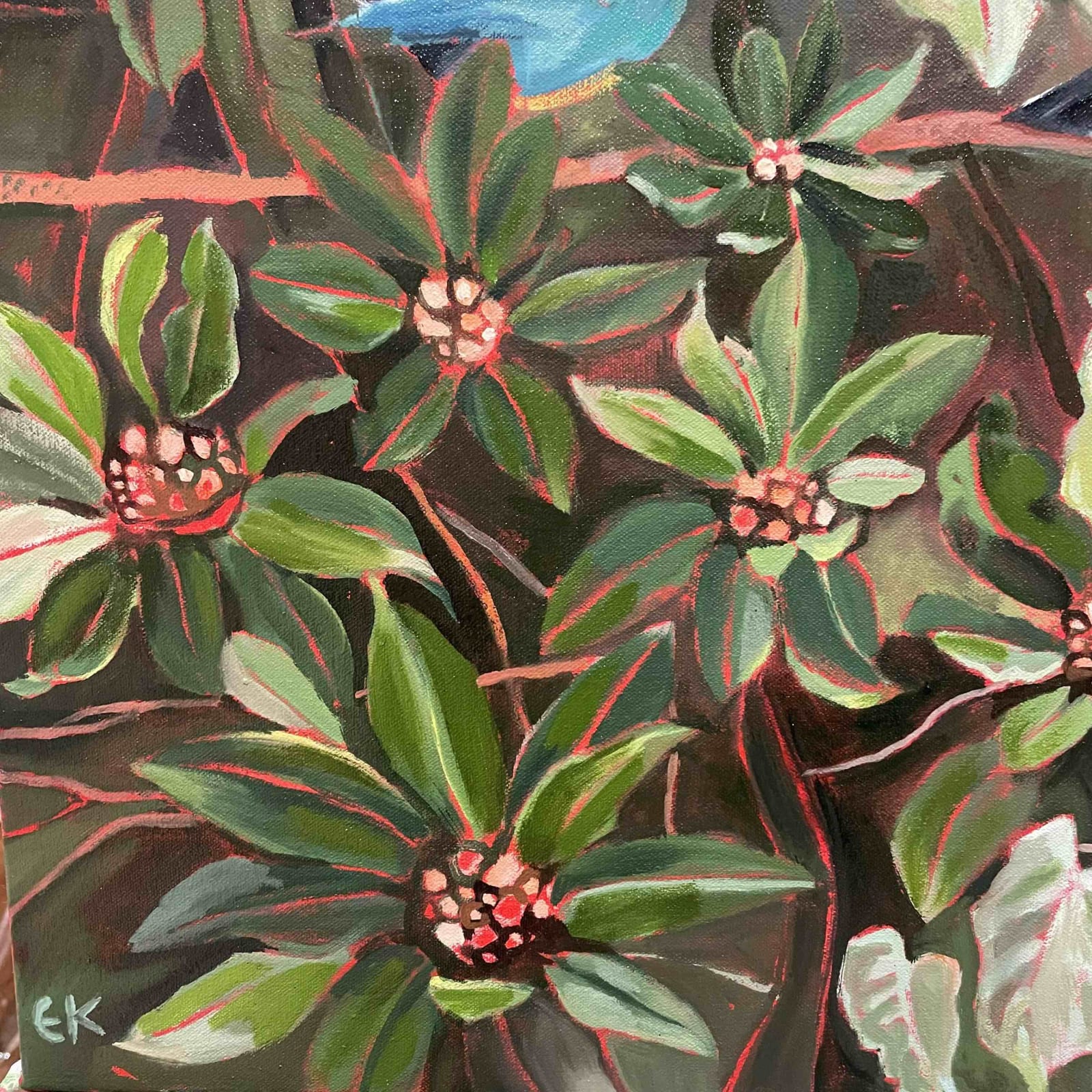 Elaine Kazimierczuk , Great Blue Turaco, 2025