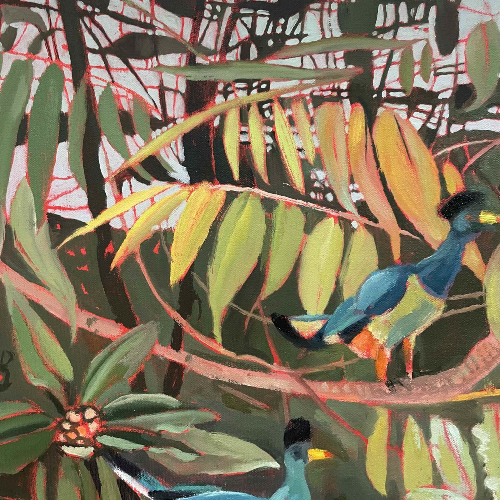 Elaine Kazimierczuk , Great Blue Turaco, 2025