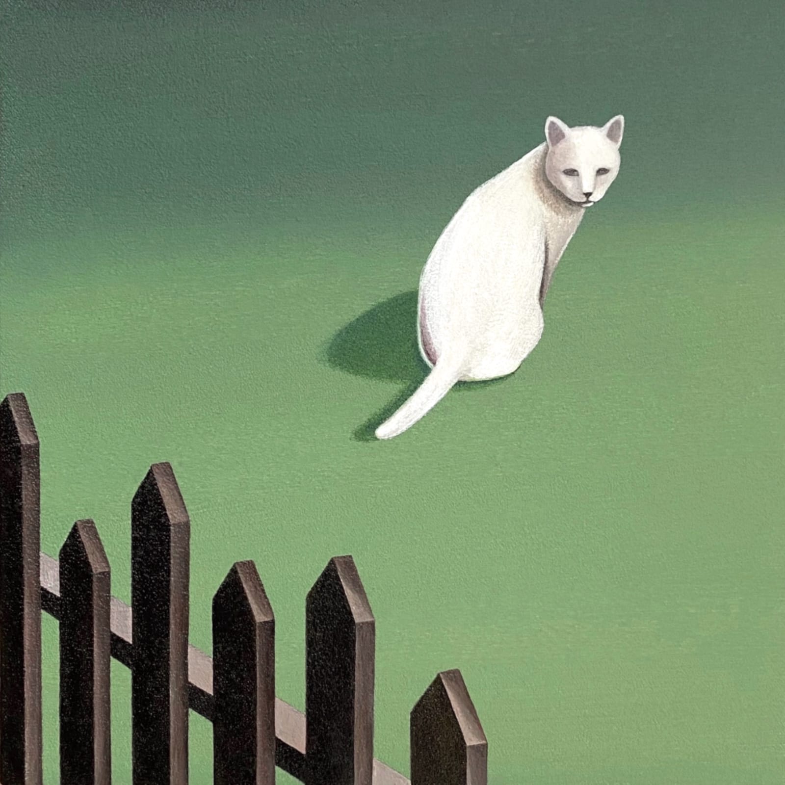 Yasuhiro Toyoda, Garden cat#1, 2023
