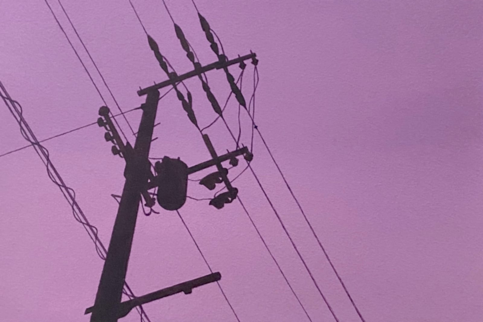 Yasuhiro Toyoda, Electric cables#2, 2023