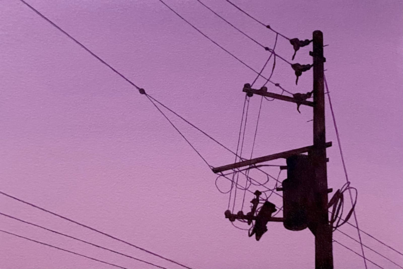 Yasuhiro Toyoda, Electric cables#3, 2023
