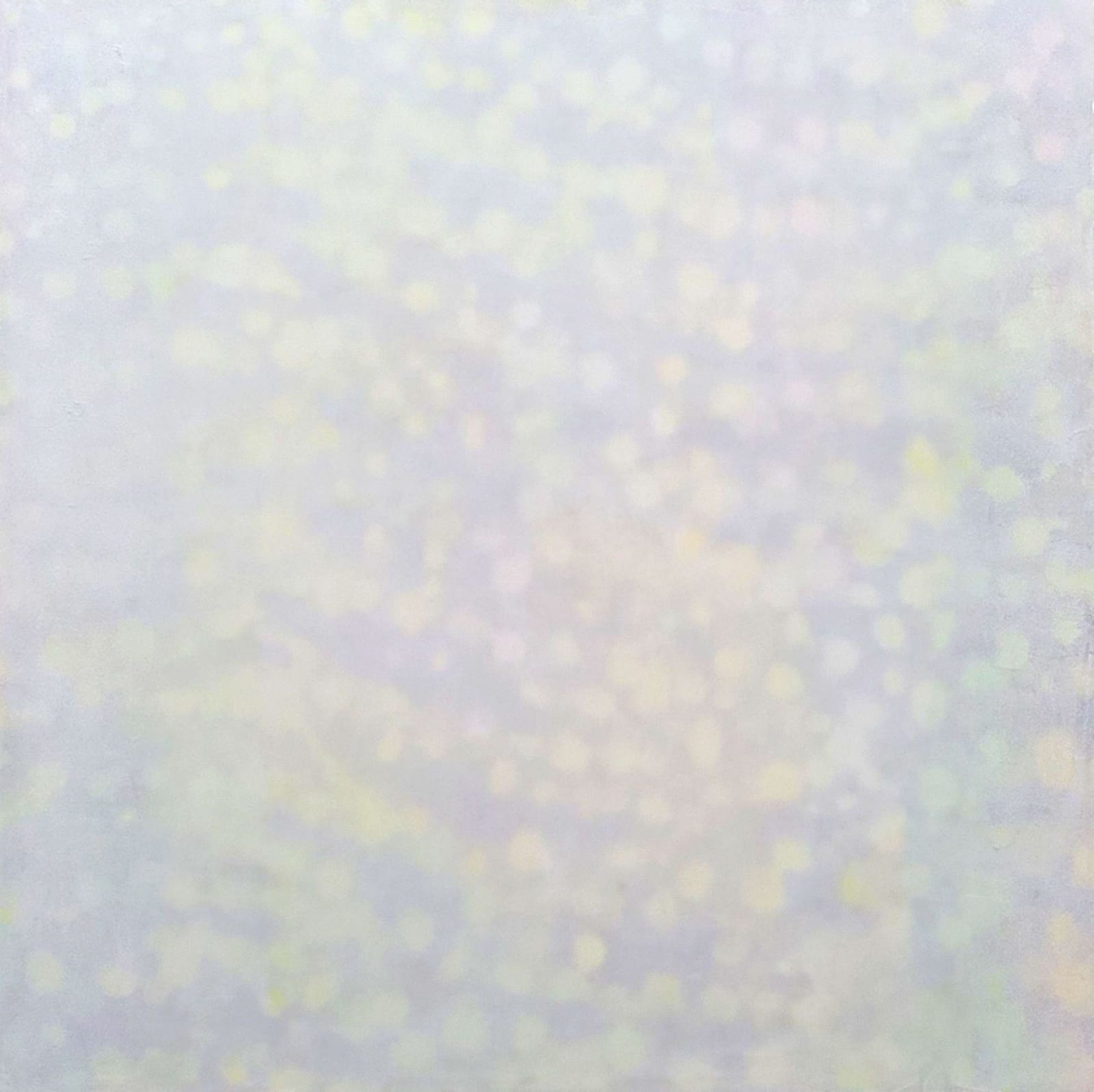 Taiga Ito, Crystallized Landscape-Light Wave