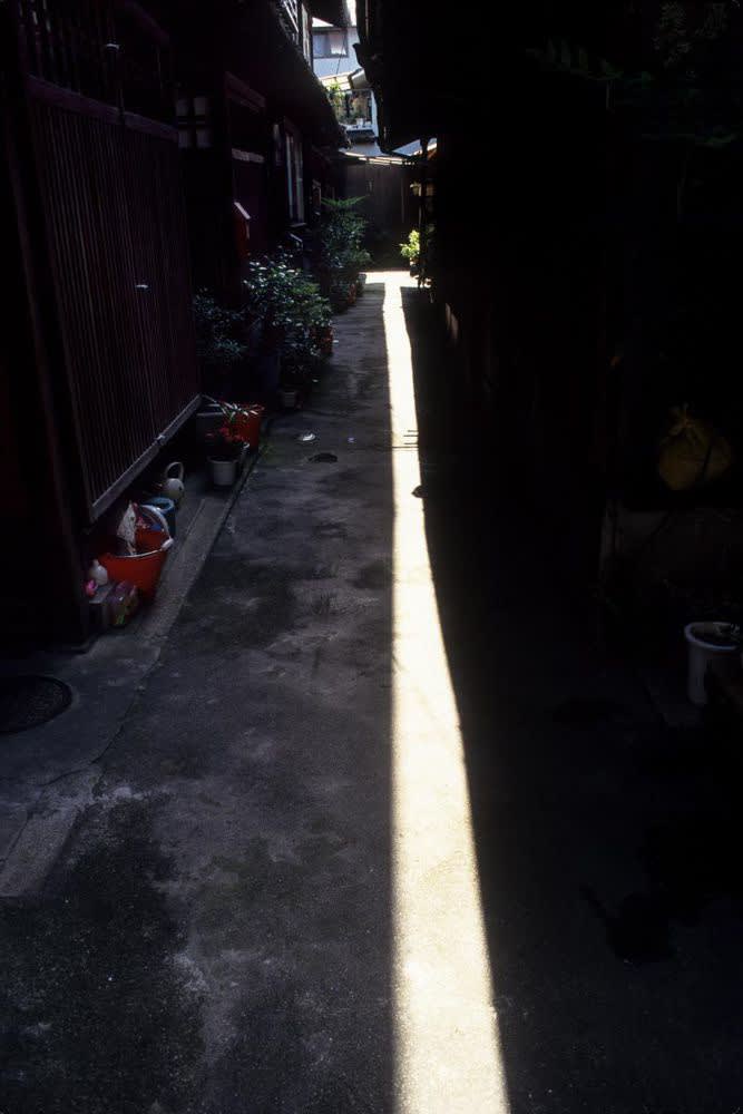 Kayu Mizuno, Sun in Midsummer