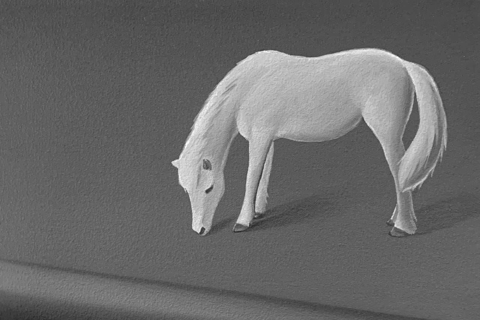 Yasuhiro Toyoda, Pony, 2022