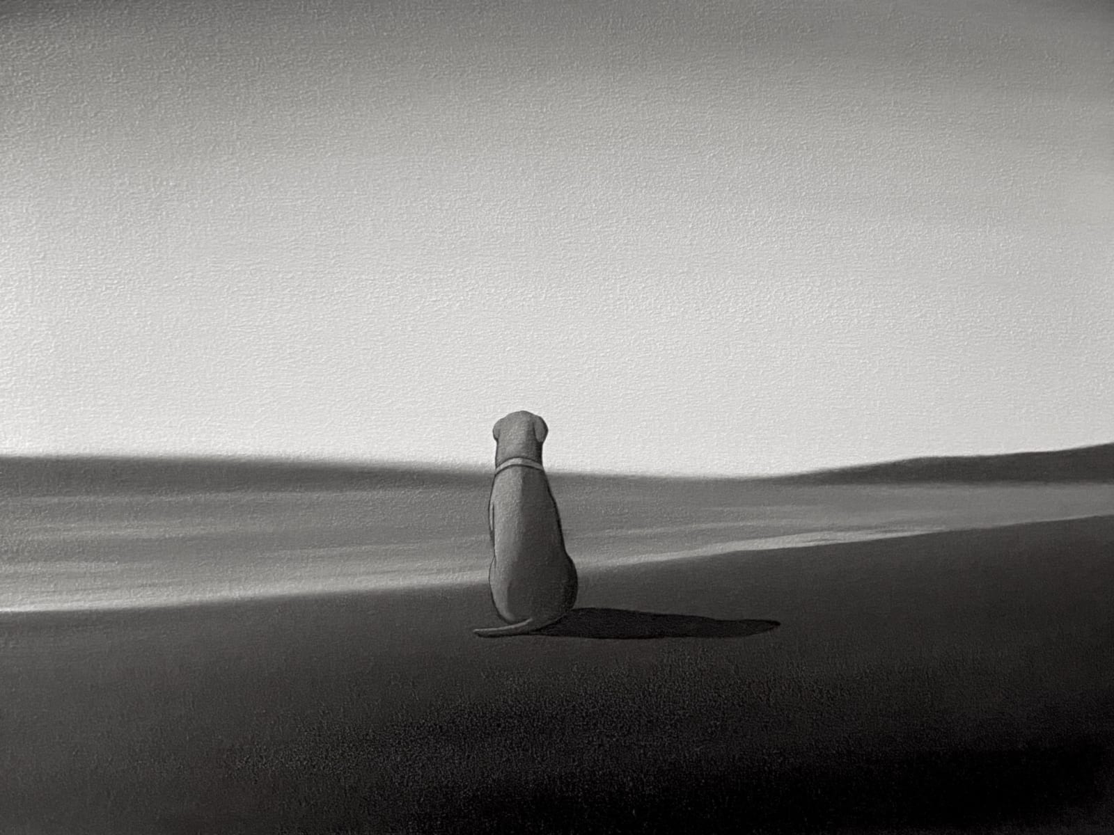Yasuhiro Toyoda, Dog,2024