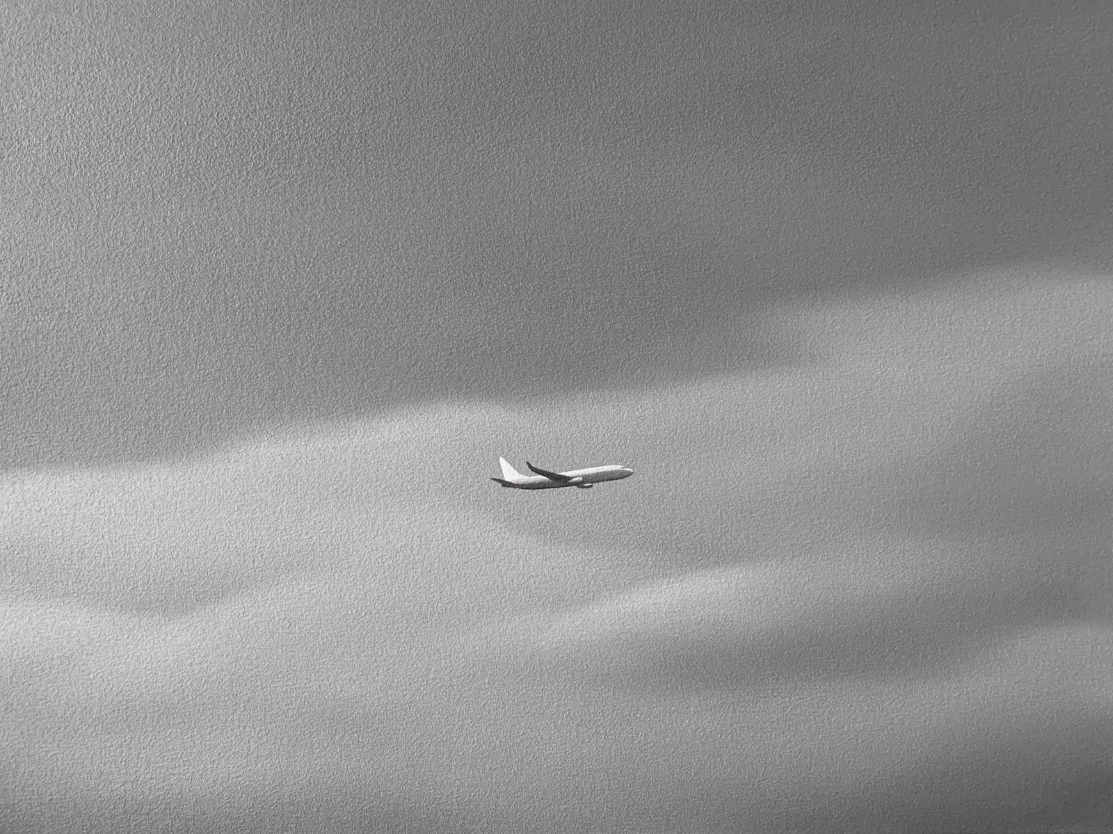 Yasuhiro Toyoda, Airplane, 2021