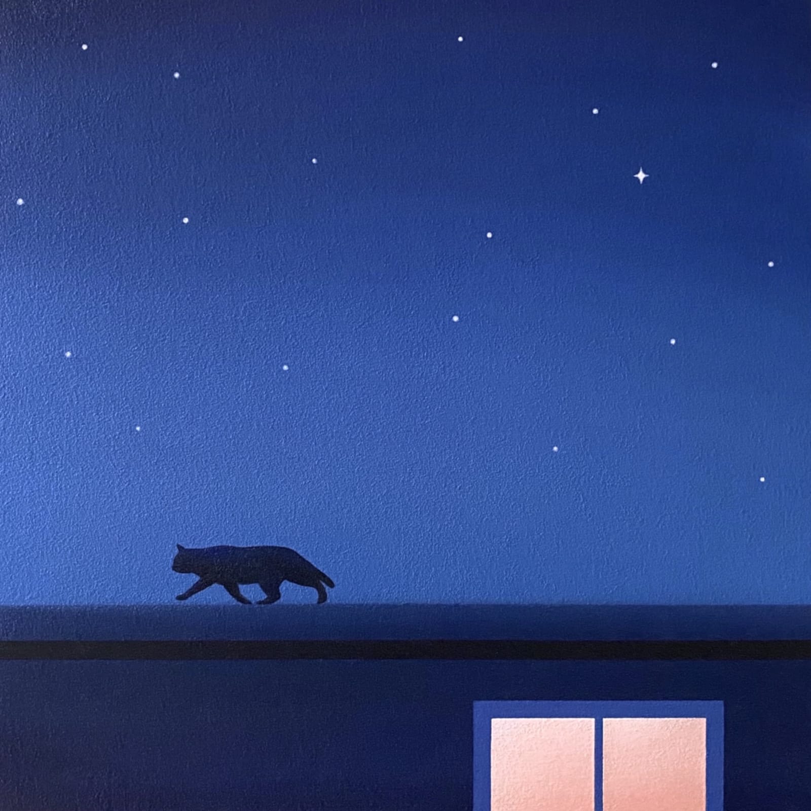 Yasuhiro Toyoda, Night cat,2024