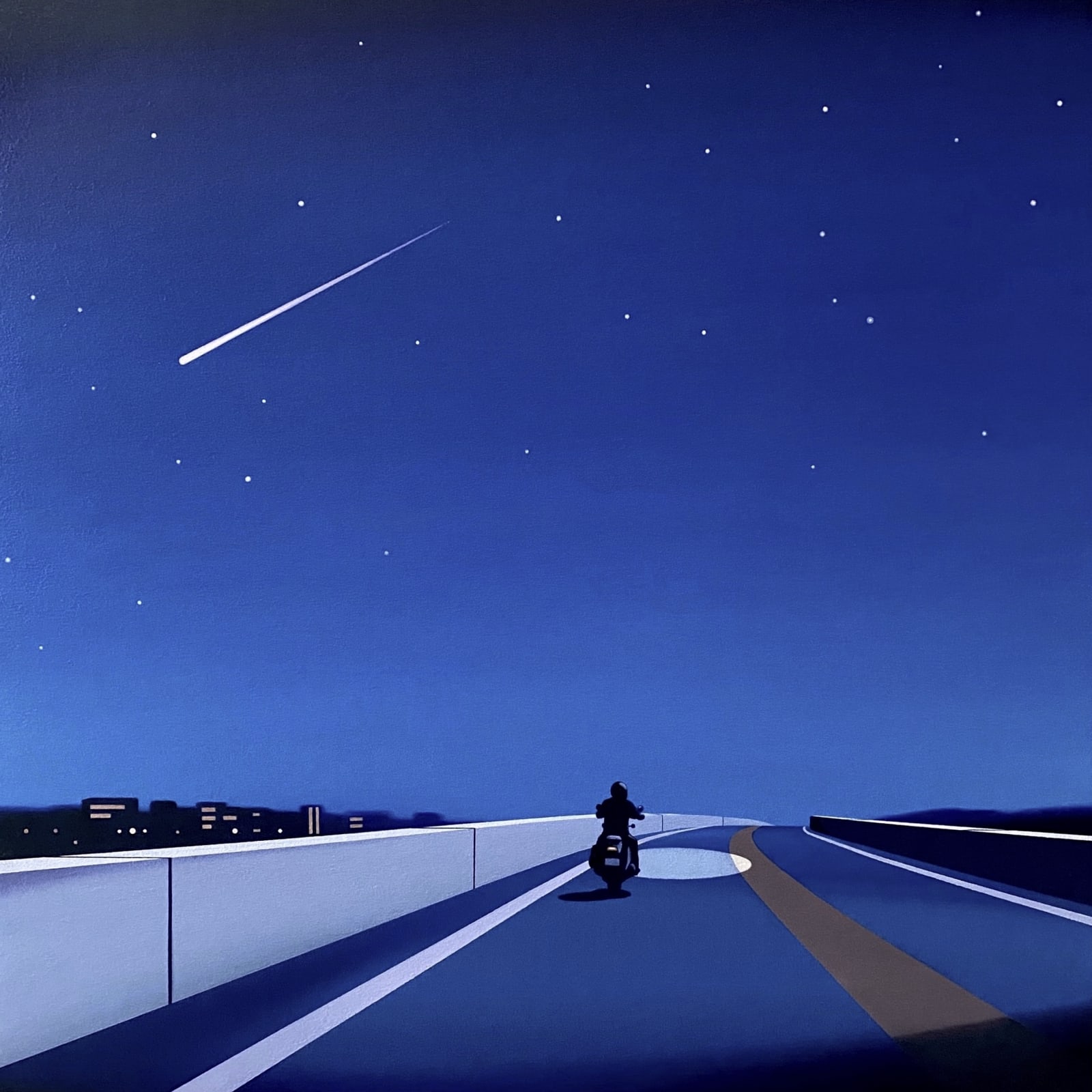 Yasuhiro Toyoda, Night touring,2024