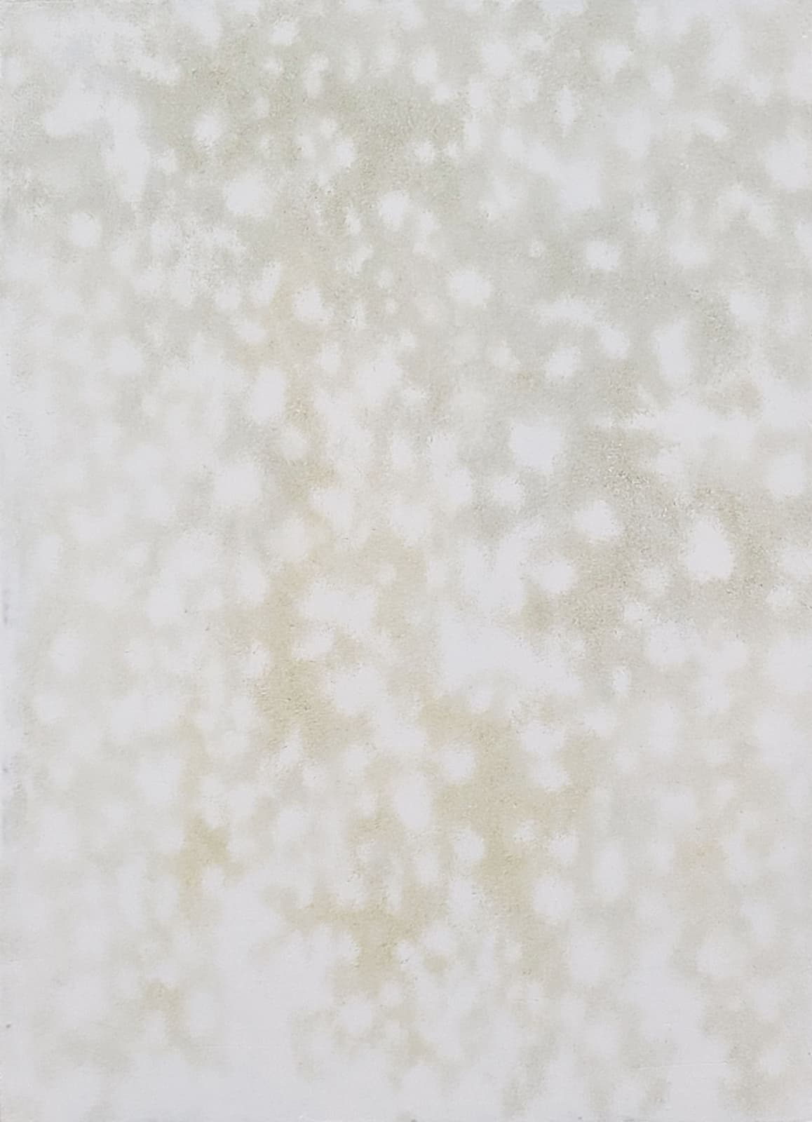 Taiga Ito, Crystallized Landscape-Wild Grasses