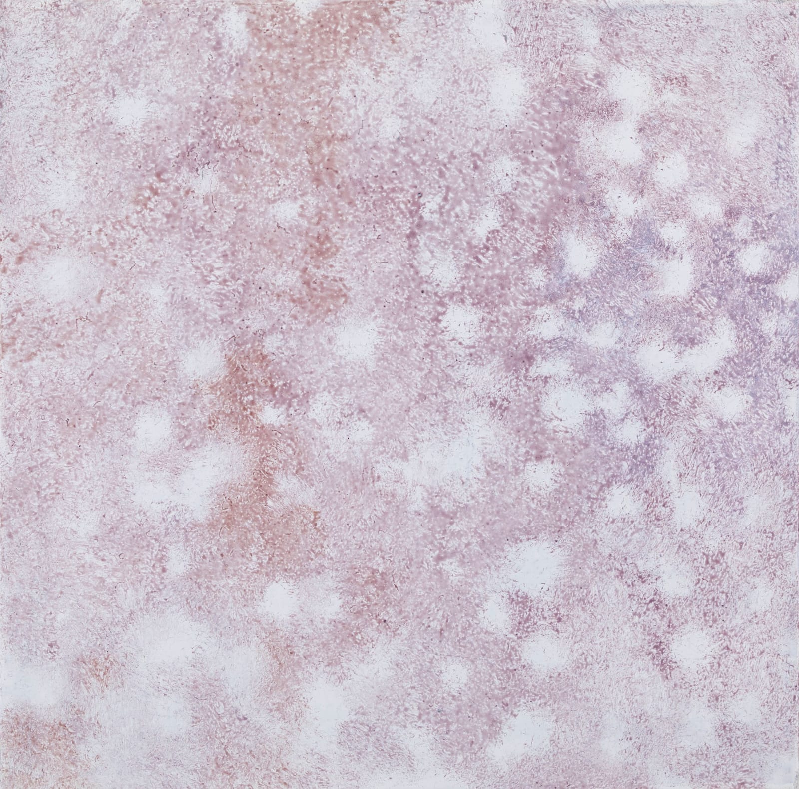 Taiga Ito, Crystallized Landscape-Beginning of Snow, 2019