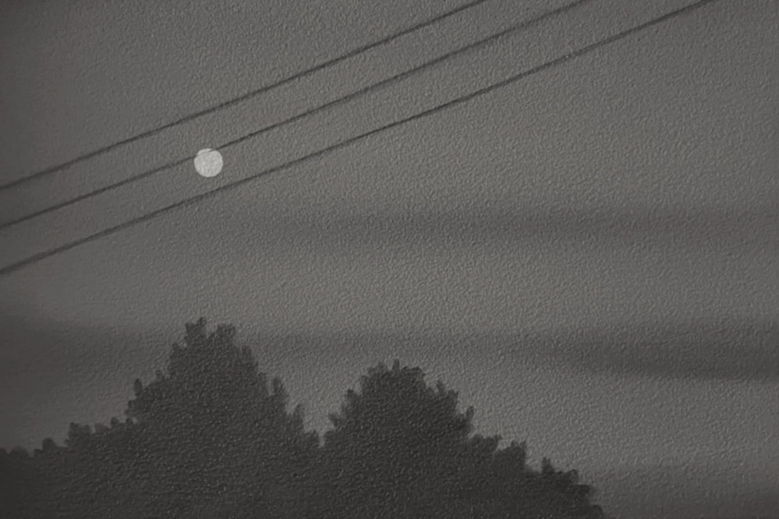 Yasuhiro Toyoda, Moon night, 2022