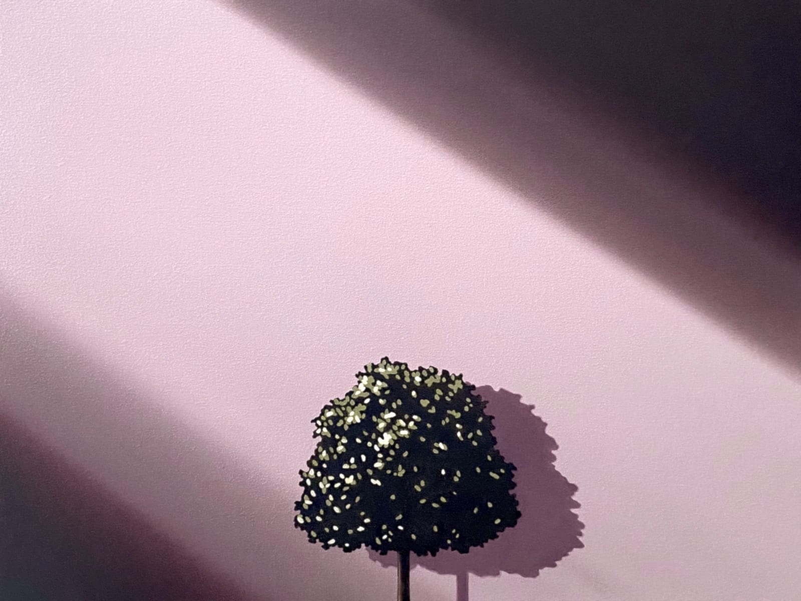 Yasuhiro Toyoda, Street tree,2024