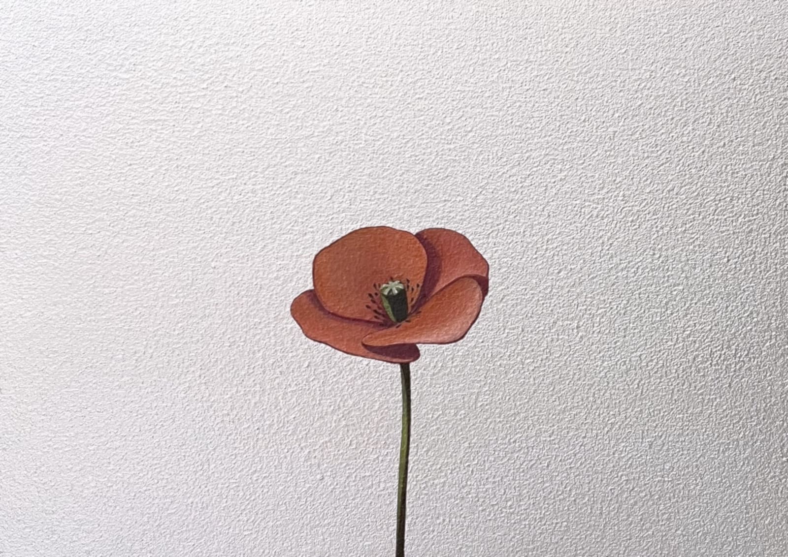 Yasuhiro Toyoda, Poppy＃1,2024