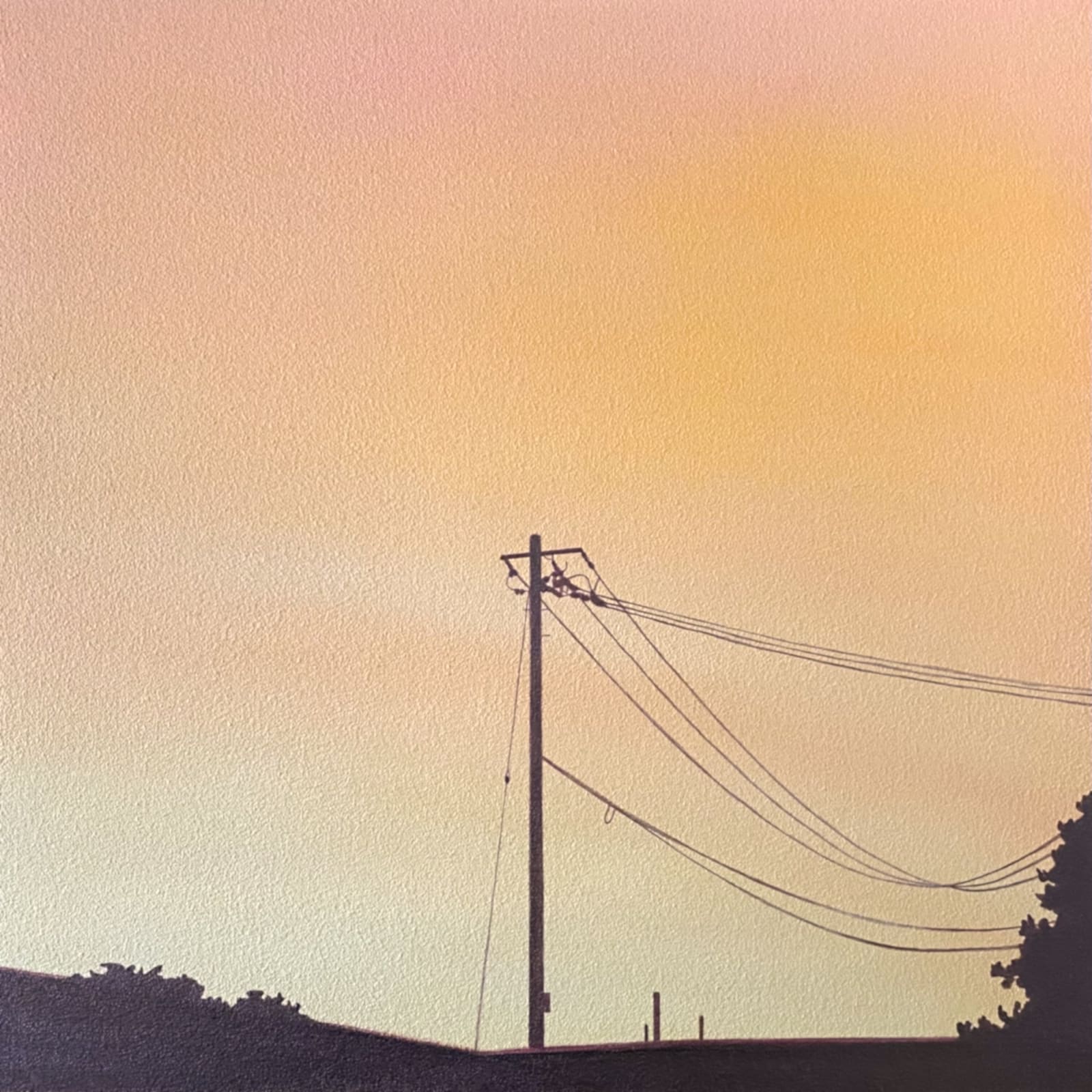 Yasuhiro Toyoda, Sepia, 2023