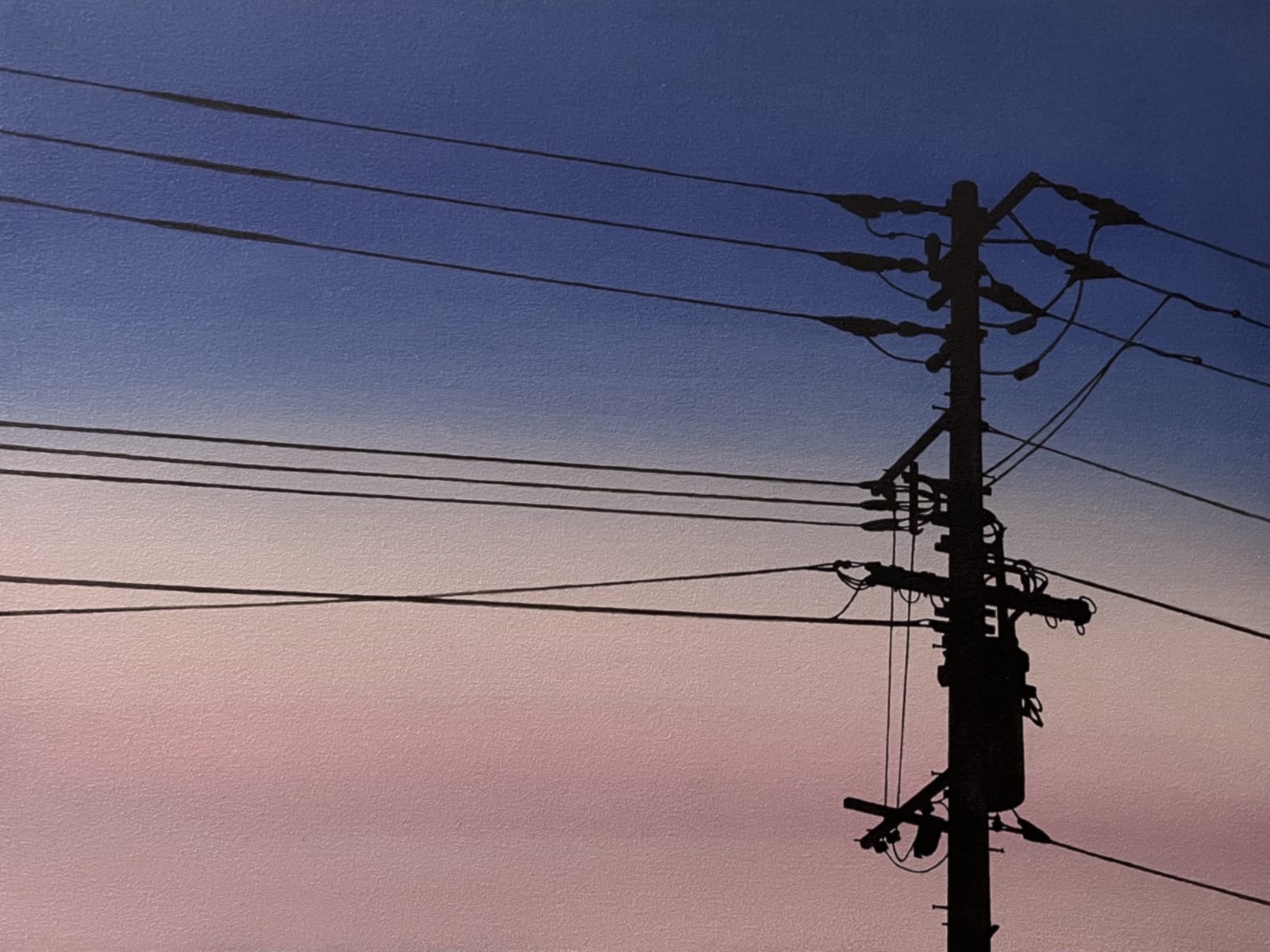 Yasuhiro Toyoda, Electric cables, 2025